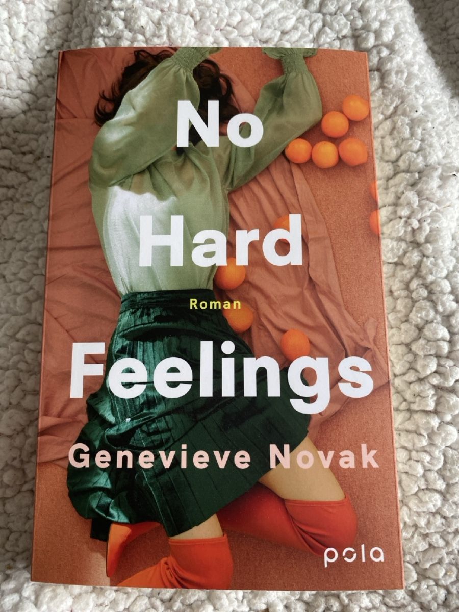 Libri: Buch No Hard Feelings – Usato da Schönenwerd venduto da mea_k6hp