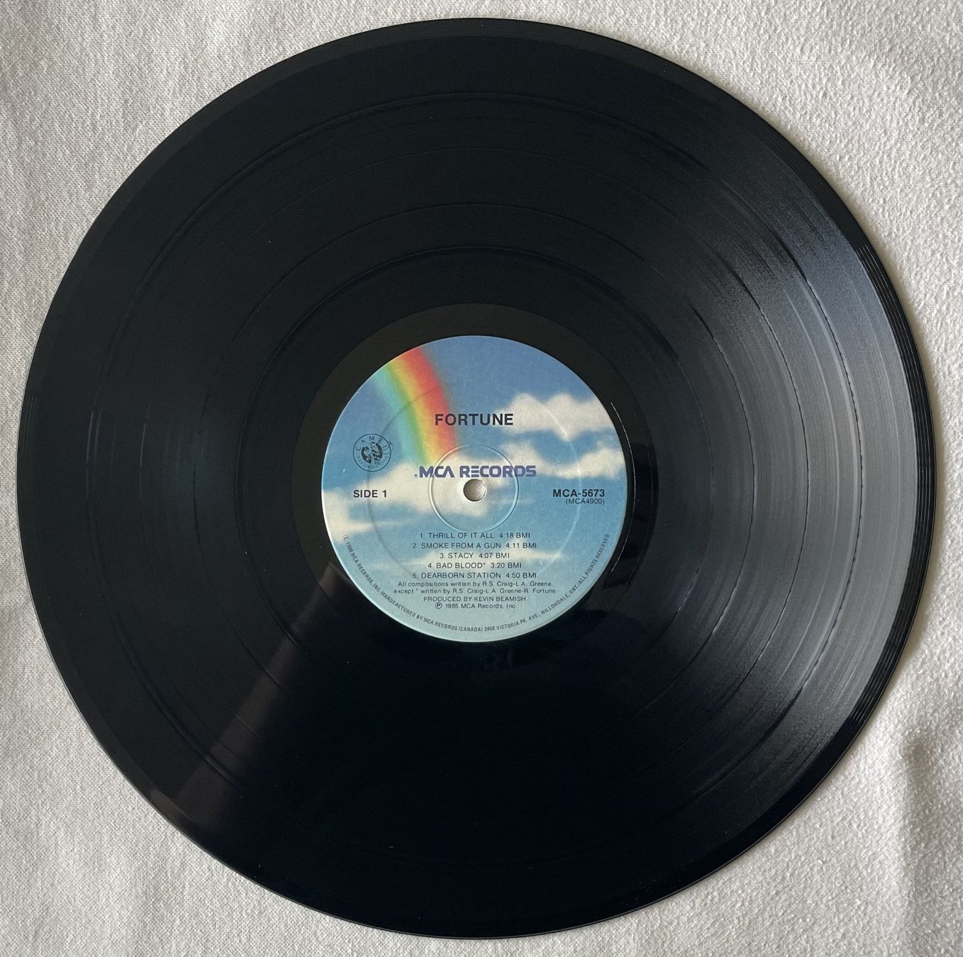 Dischi in vinile: Fortune - Fortune - LP - 1985 - Canada First Press - MCA Rec – Usato da Uster venduto da Zardodel 2