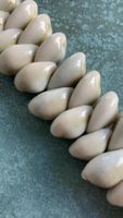 Spezielles SEYCHELLEN - MUSCHELARMBAND