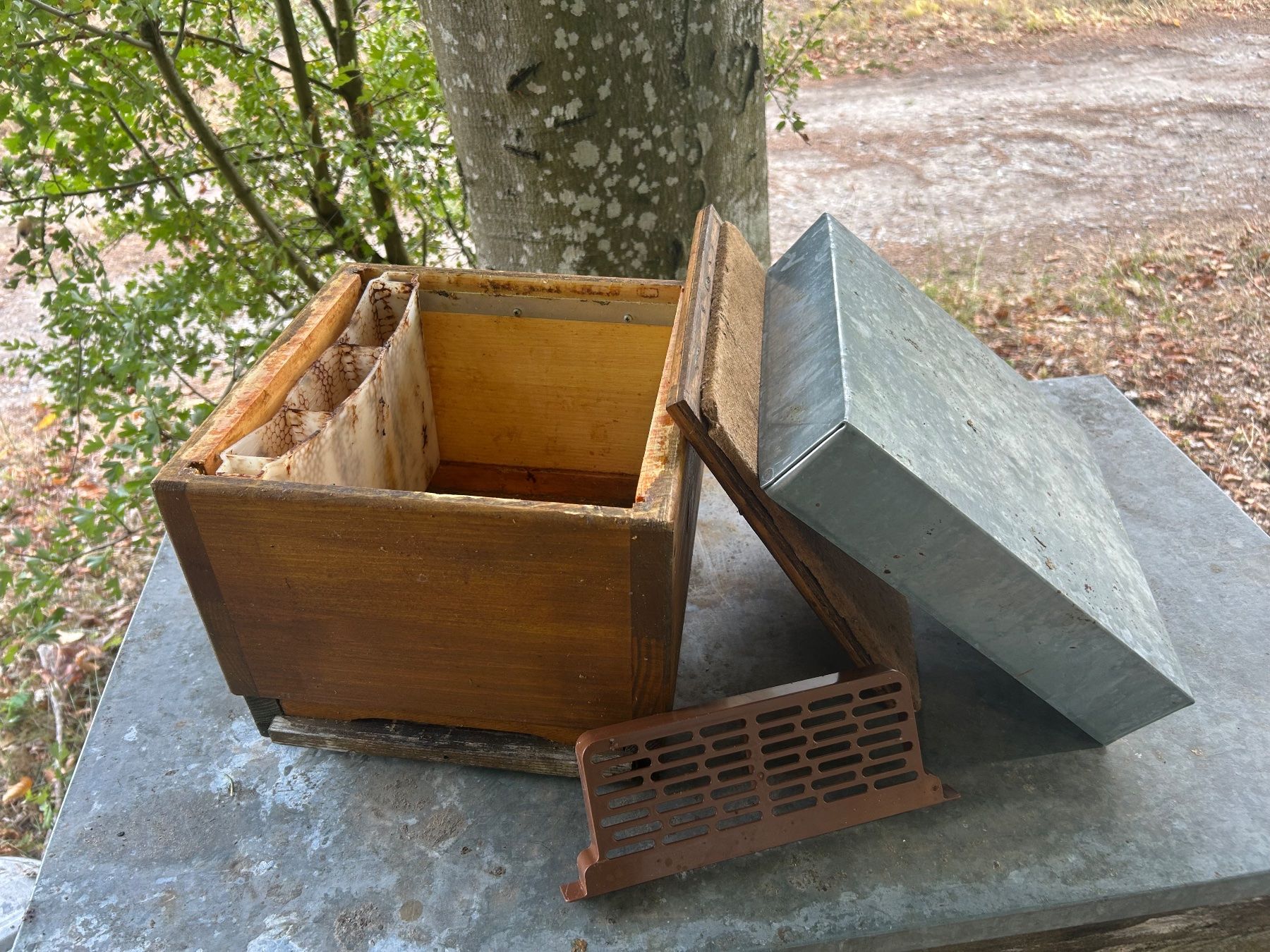 Alveari: Miniplus Königinnenzuchtkasten – Usato da Solothurn venduto da noah126 1