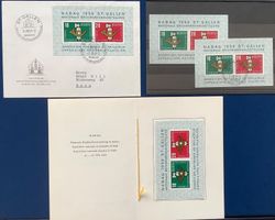 1959 Nabag ST.Gallen - FDC + Blocks + Faltblätter
