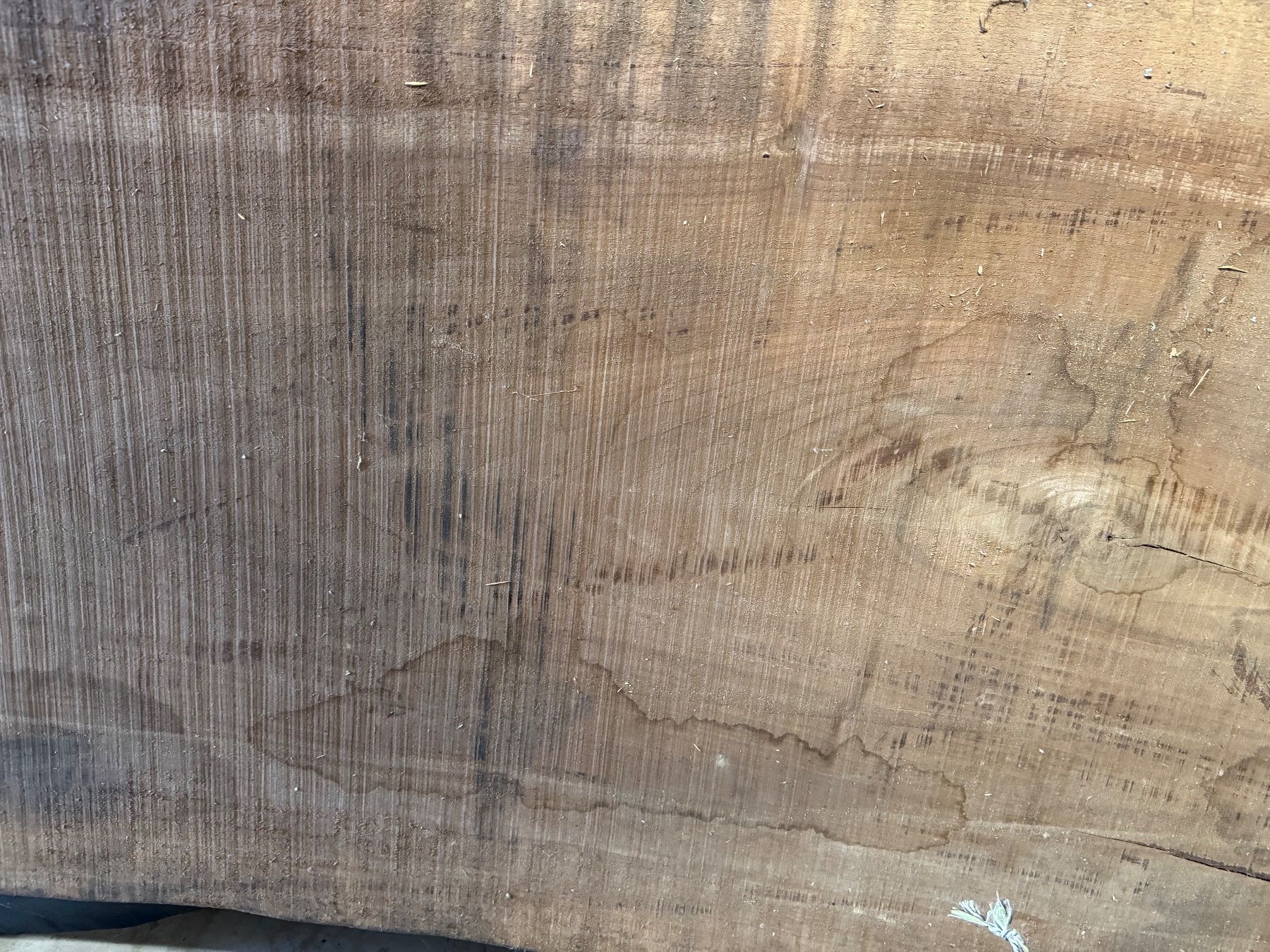 Articles en bois: 3 massive Nussbaum-Bohlen 265 cm – Neuf (Voir description) à Kestenholz par cvx_889vv 2
