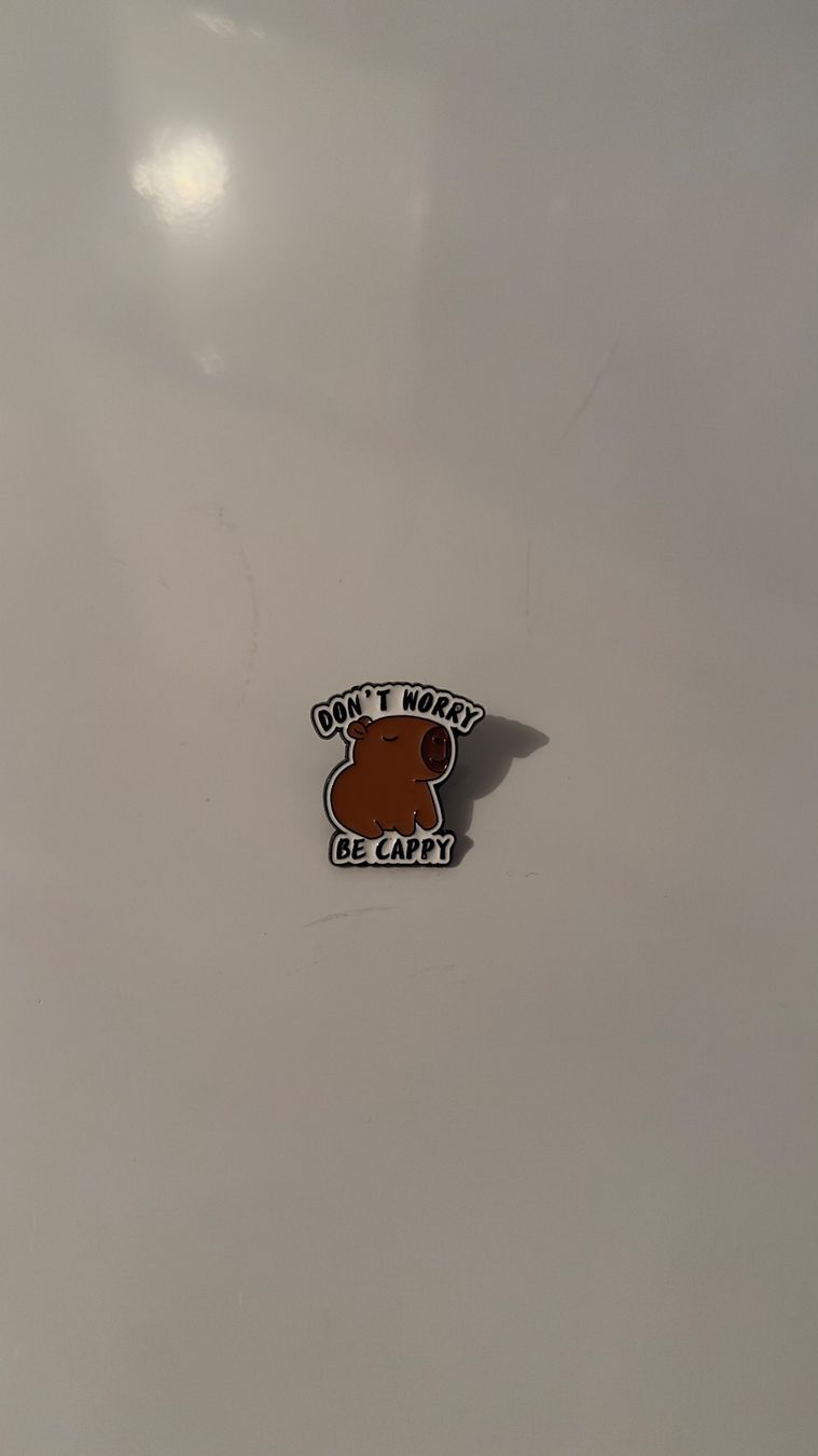 Placchette & Badge: Süsser Capybara Pin, perfektes süsses kleines Geschenk – Nuovo (secondo la descrizione) da Schindellegi venduto da SimplyBuy-CH