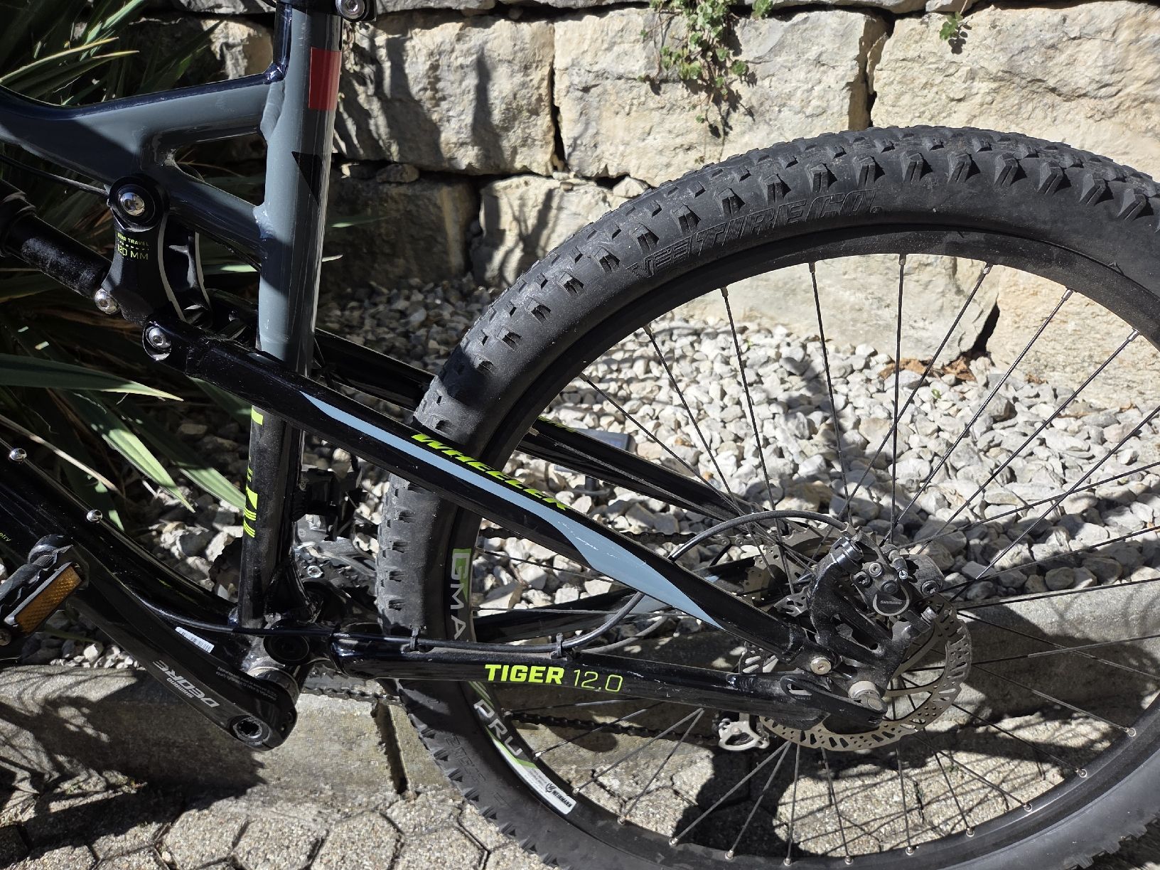 Wheeler Velos: MTB Wheeler Tiger 12 – Gebraucht aus Tenniken von Mrsush 2