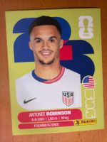 Panini USA7