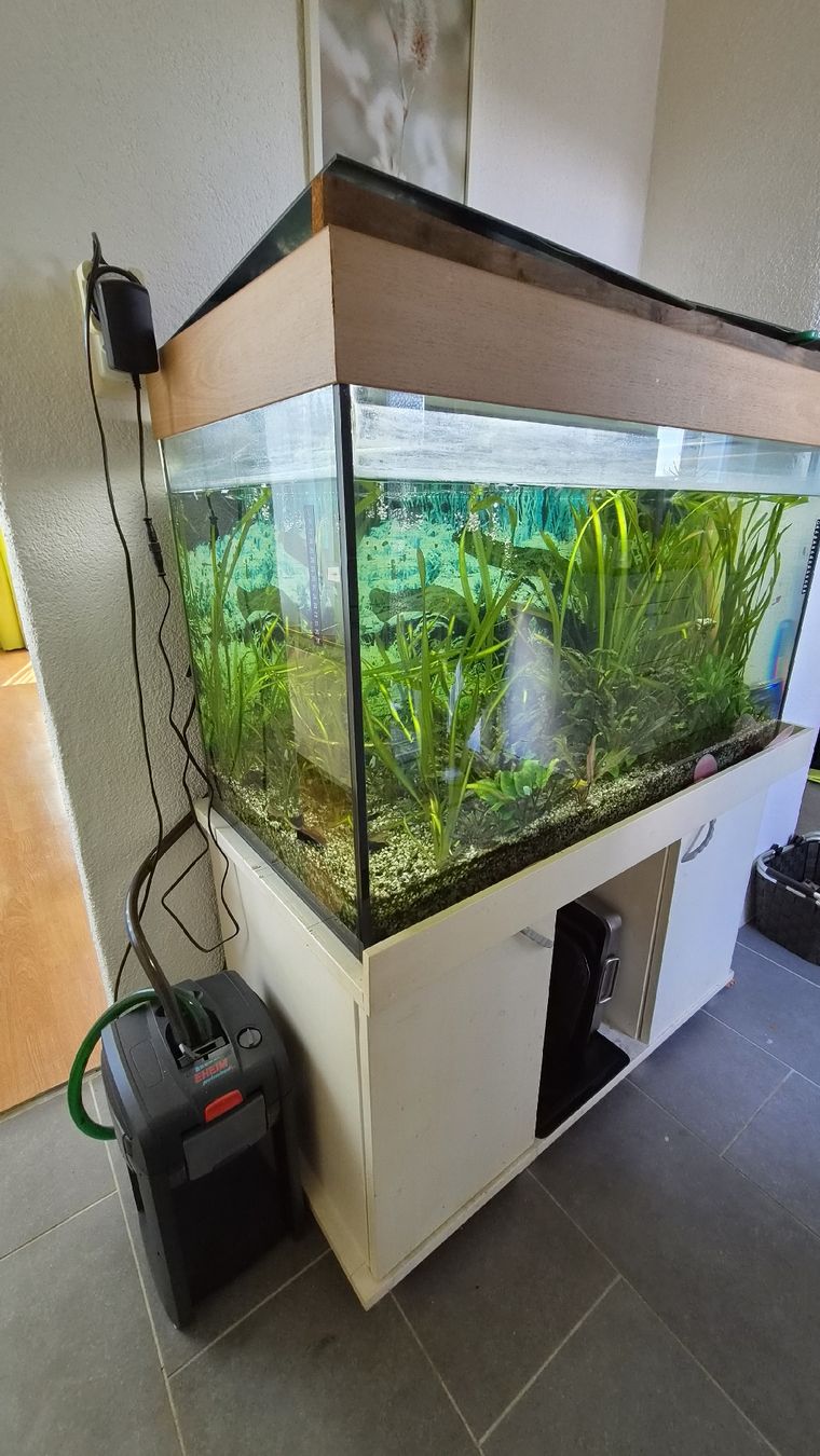 Aquarium: 280Liter Aquarium komplett – Gebraucht aus Kleinandelfingen von jessi2209