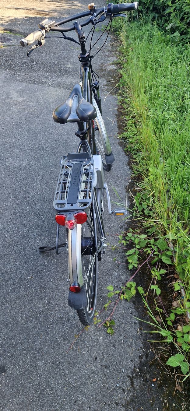 Flyer Biciclette: E-Bike FLYER – Usato da Romanshorn venduto da fag_gnd6 6