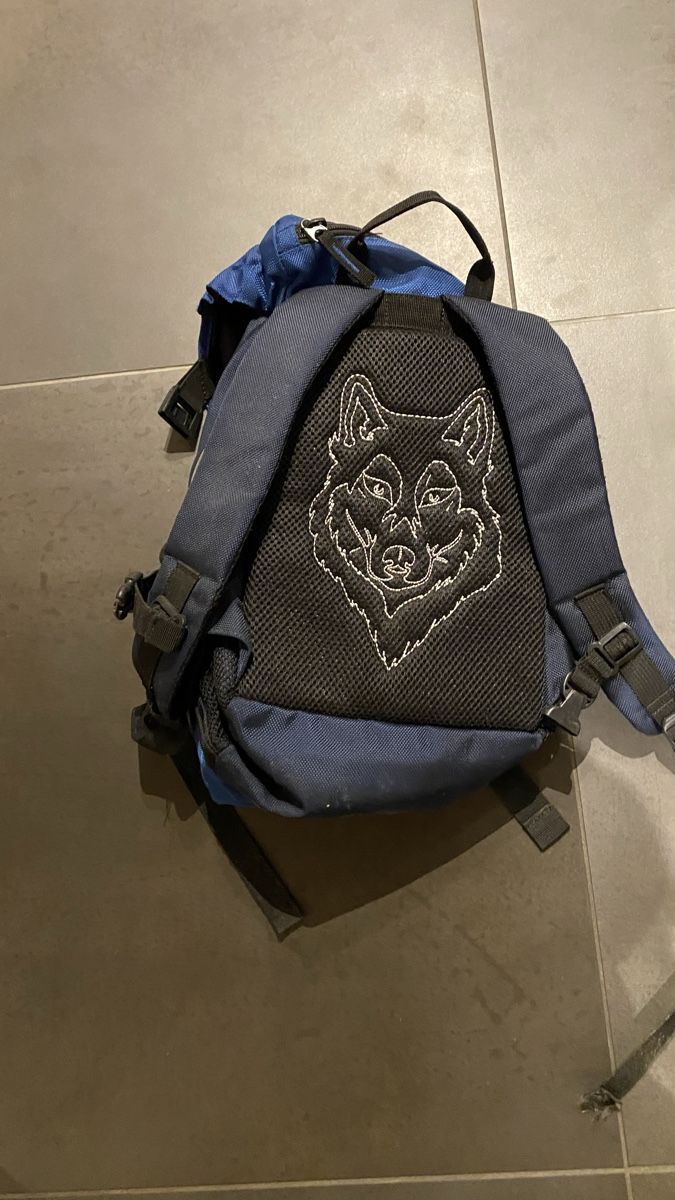 Borse & Zaini: Kinderrucksack Wolfs Tracks – Usato da Bönigen venduto da fabi_12 1