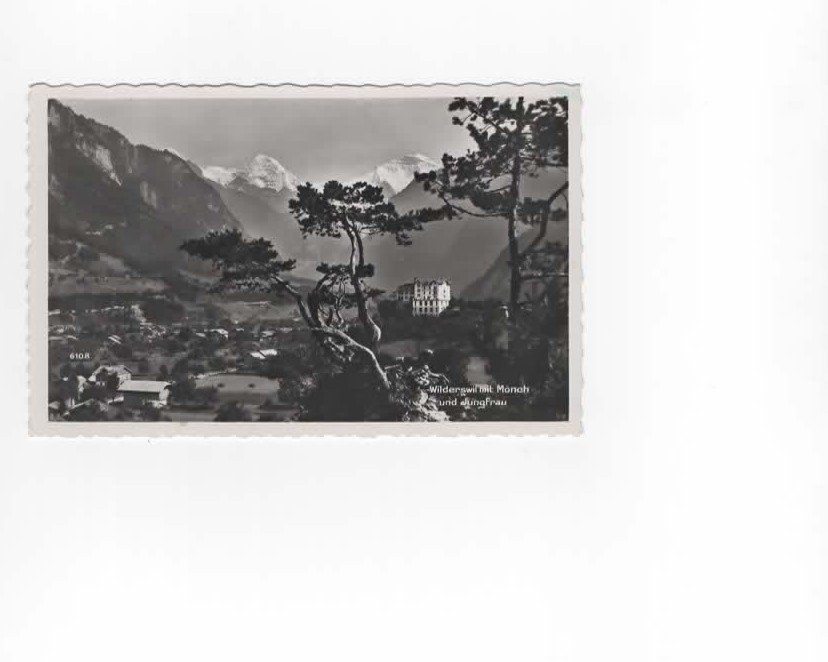 Cartoline postali: Wilderswil mit Mönch und Jungfrau – Usato da Buchs AG venduto da Baerfisch