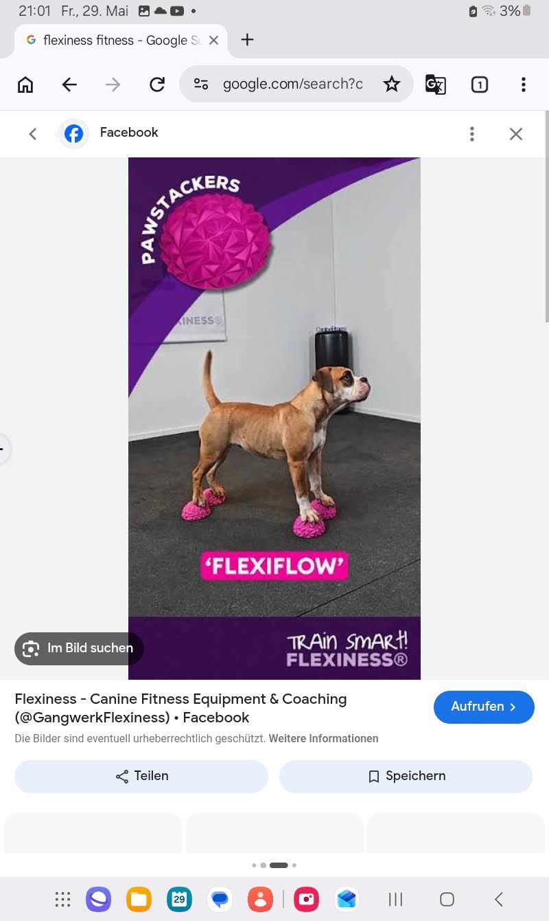 Abbigliamento: Flexiness Hundetraining Bälle Set Neu & OVP  – Usato da Hefenhofen venduto da citroen62 2