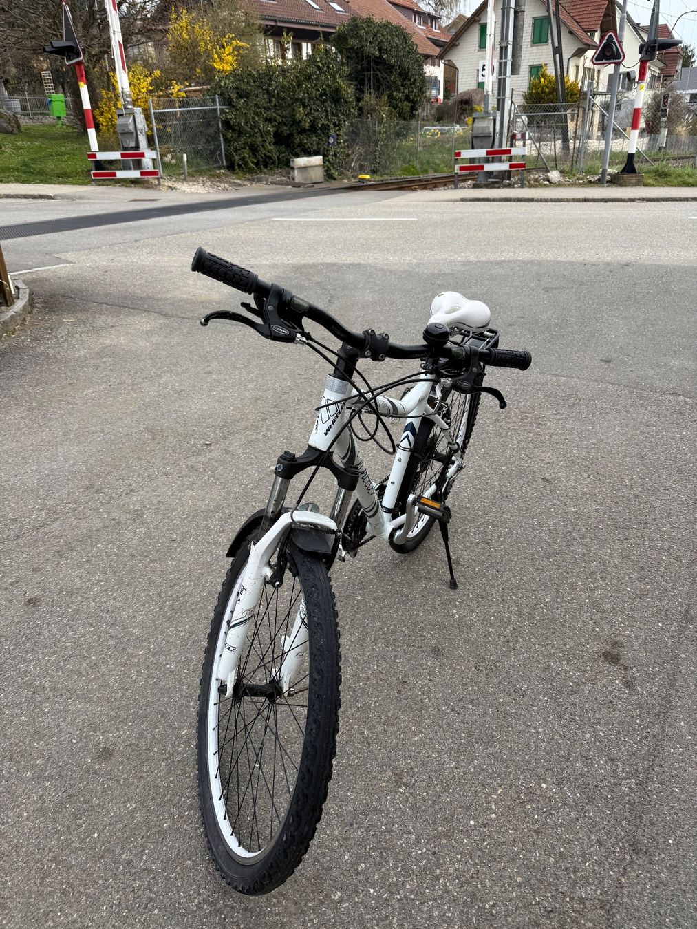 Wheeler Biciclette: Wheeler Damen Passera 65 – Usato da Wiedlisbach venduto da jen_kb5v 1