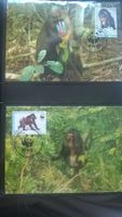 WWF Äquatorialguinea 1991 Mandrill Satz Maximumkarten