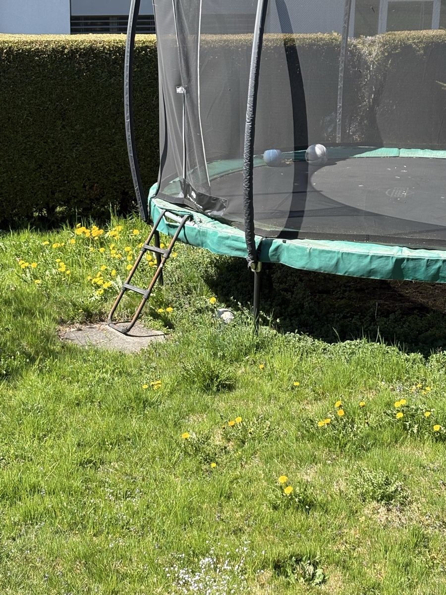 Trampolini: Berg Trampolin Elite 430 cm – Usato da Wichtrach venduto da blade401 1