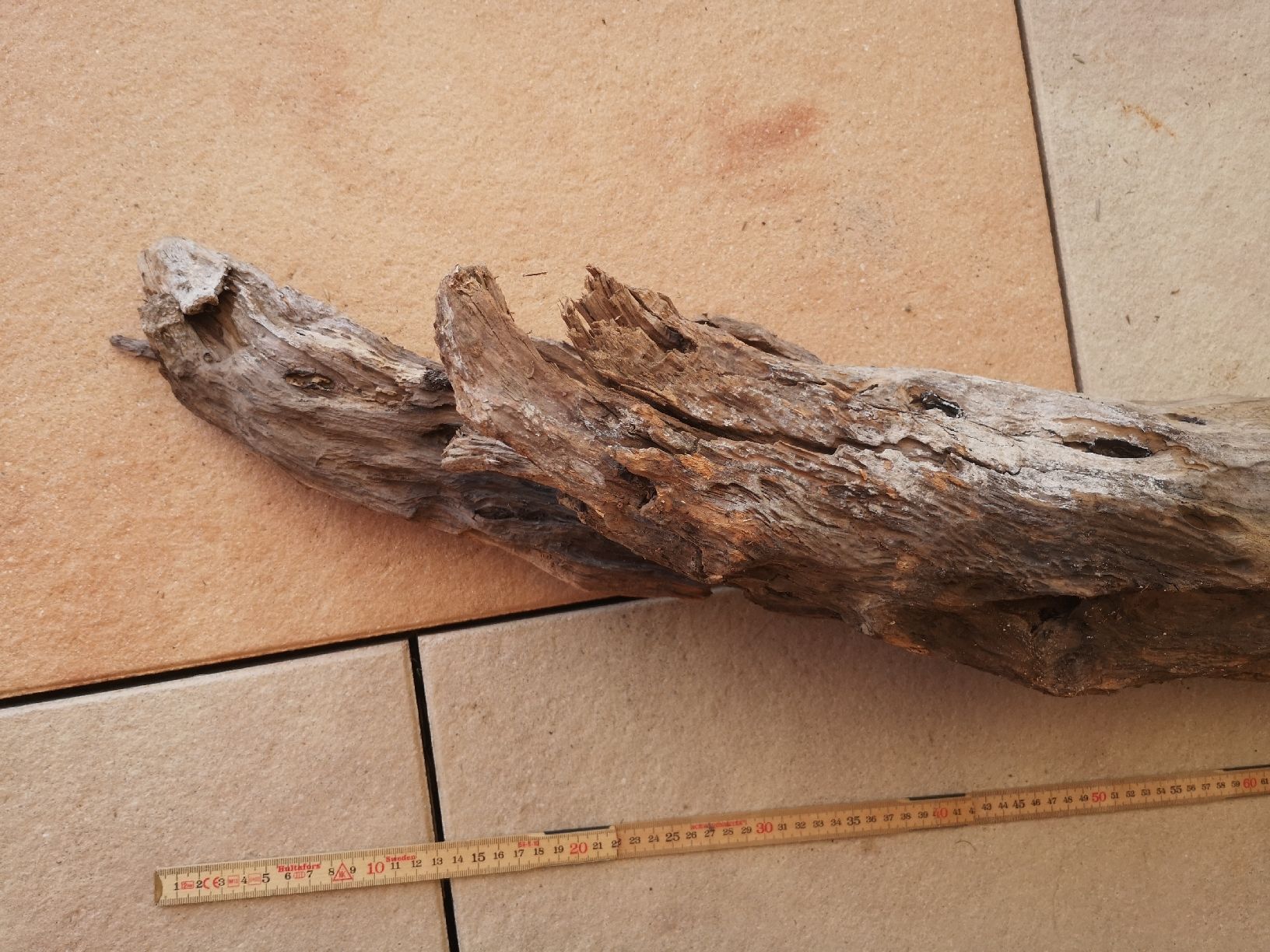 Articoli in legno: Schwemmholz sehr gross – Nuovo (secondo la descrizione) da Vordemwald venduto da Esel04 2