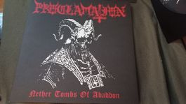 Proclamation-Nether Tombs..PIC-LP SIGNIERT Black/Death Metal