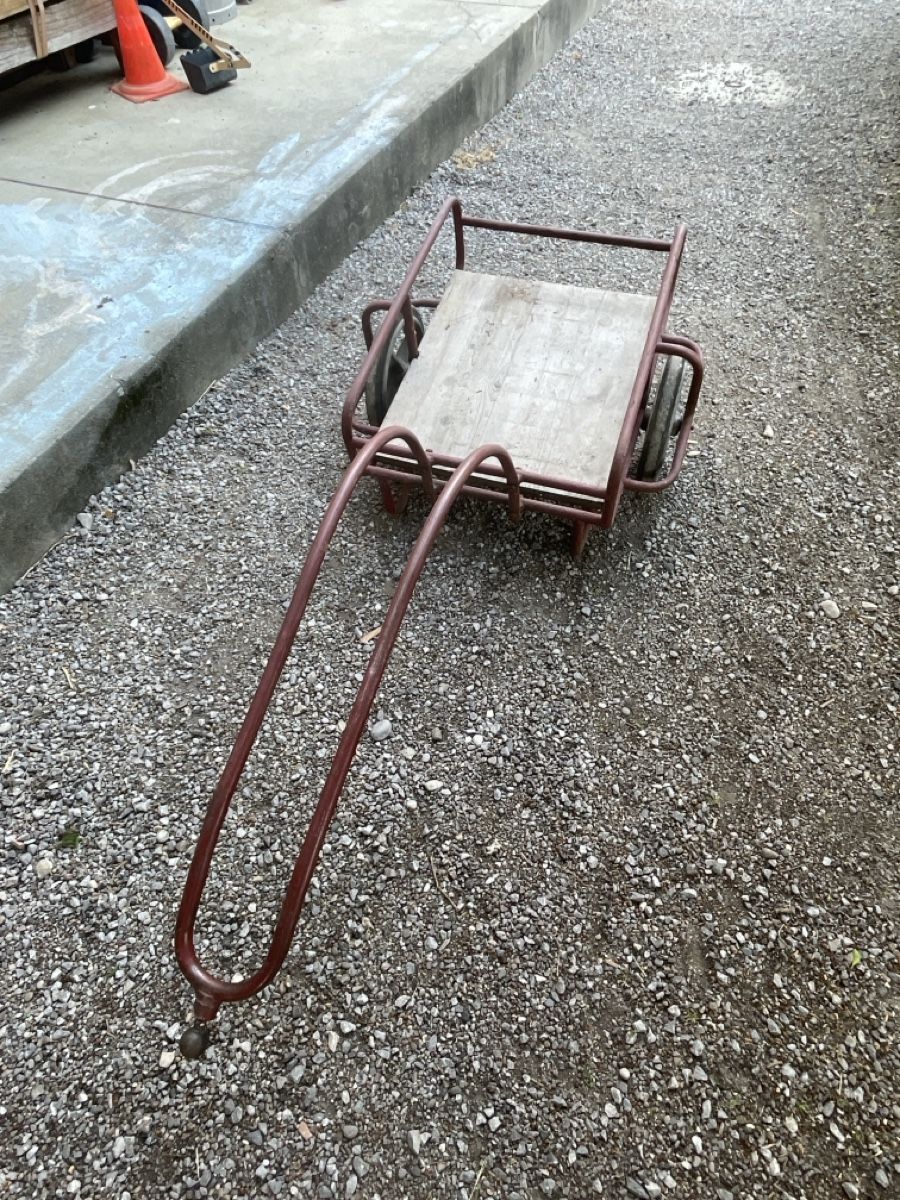 Anhänger: Veloanhänger – Gebraucht aus Zollbrück von Bawz 4