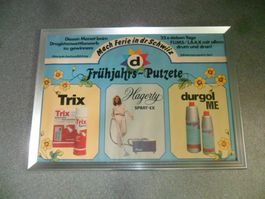 Plakat DROGISTENVERBAND Frühjahrs-Putzete Flims Laax Trix