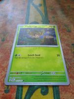 POKEMON  Phantump     H  TWM EN   012/167    HP70   2024