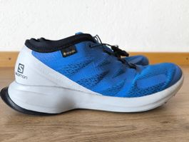 Salomon Goretex Laufschuhe 45 1/3
