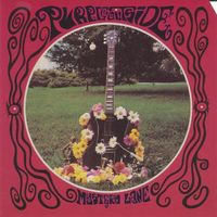 The Purple Outside – Mystery Lane