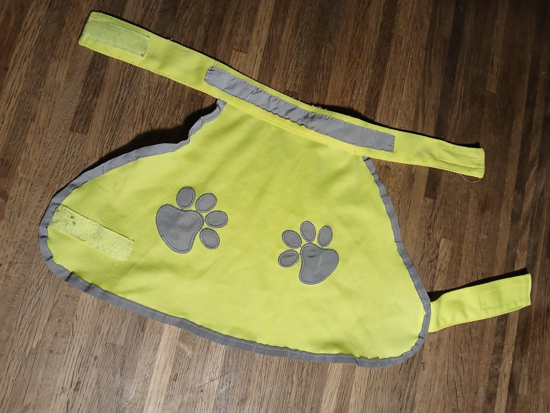 Guinzagli & Collari: Hunde Leuchtdecke – Usato da Oberramsern venduto da lal_7v57 2