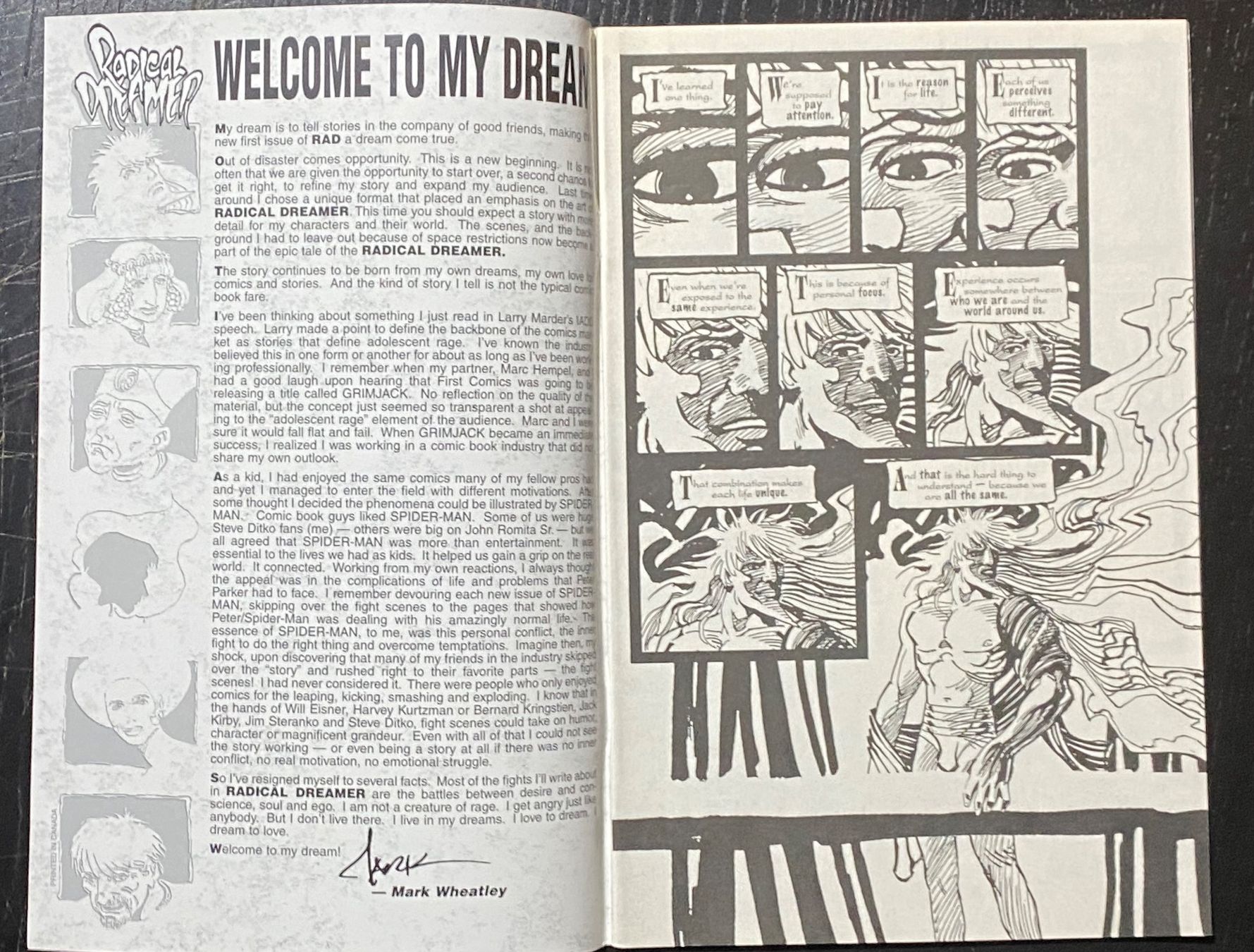 Fumetti: RADICAL DREAMER / nr. 1-6 with Special /missing nr. 3 & 4 – Usato da Zuerich venduto da SonderArt-Wertgut 2