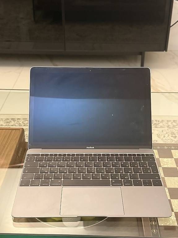 Notebook: Apple MacBook Retina 12 Battery Needs Service – Usato da Lugano venduto da geo_hk9m