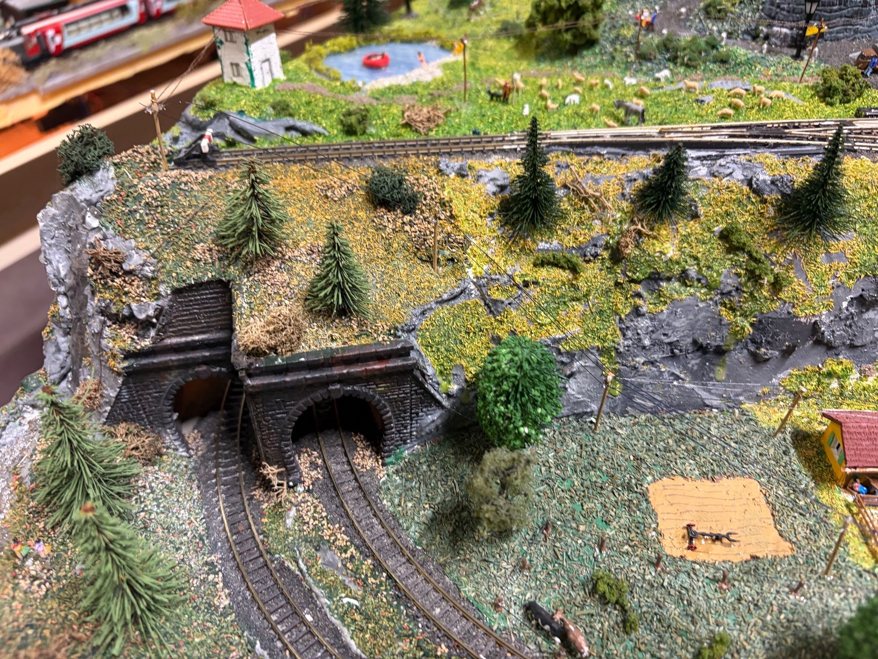 Märklin Modellini di ferrovie: Perfekte Spur Z Anlage – Usato da Wil SG venduto da steinlin07 9