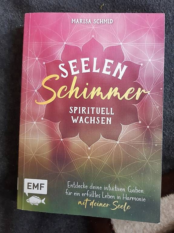 Libri: Buch seelenschimmer – Usato da Nebikon venduto da Haidihooo