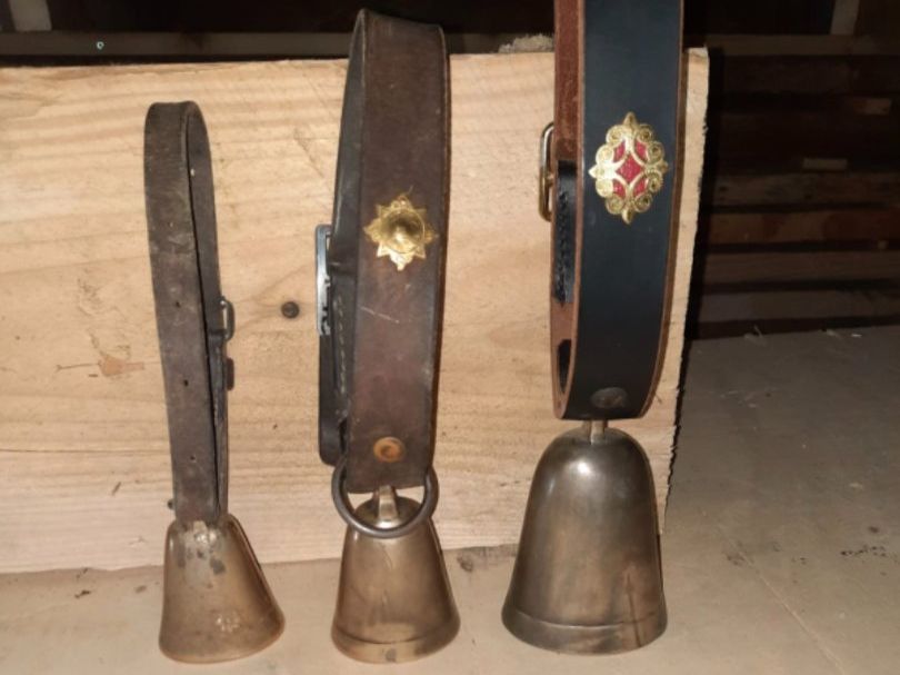 Campanacci mucche: Ziegen/Eseltreicheln – Usato da Charmey (Gruyère) venduto da Balinea 1