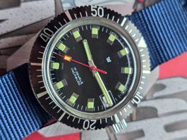 451 Wega Taucher HA Wunderschoen