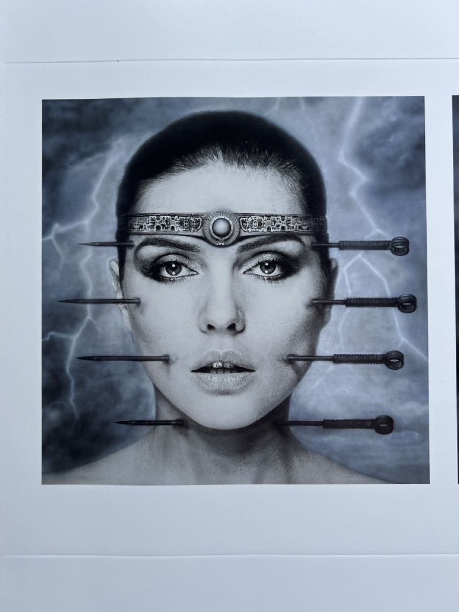 Grafica & Litografie: HR Giger Lithografie, Debbi Harry, Blondie – Nuovo (secondo la descrizione) da Glattfelden venduto da Ak_5bL 1