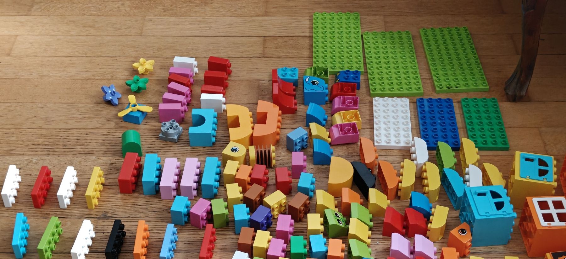 Lego Kit di costruzioni: Lego Duplo Assorted ~270 pieces with box – Usato da Aarau venduto da Momzilla 3