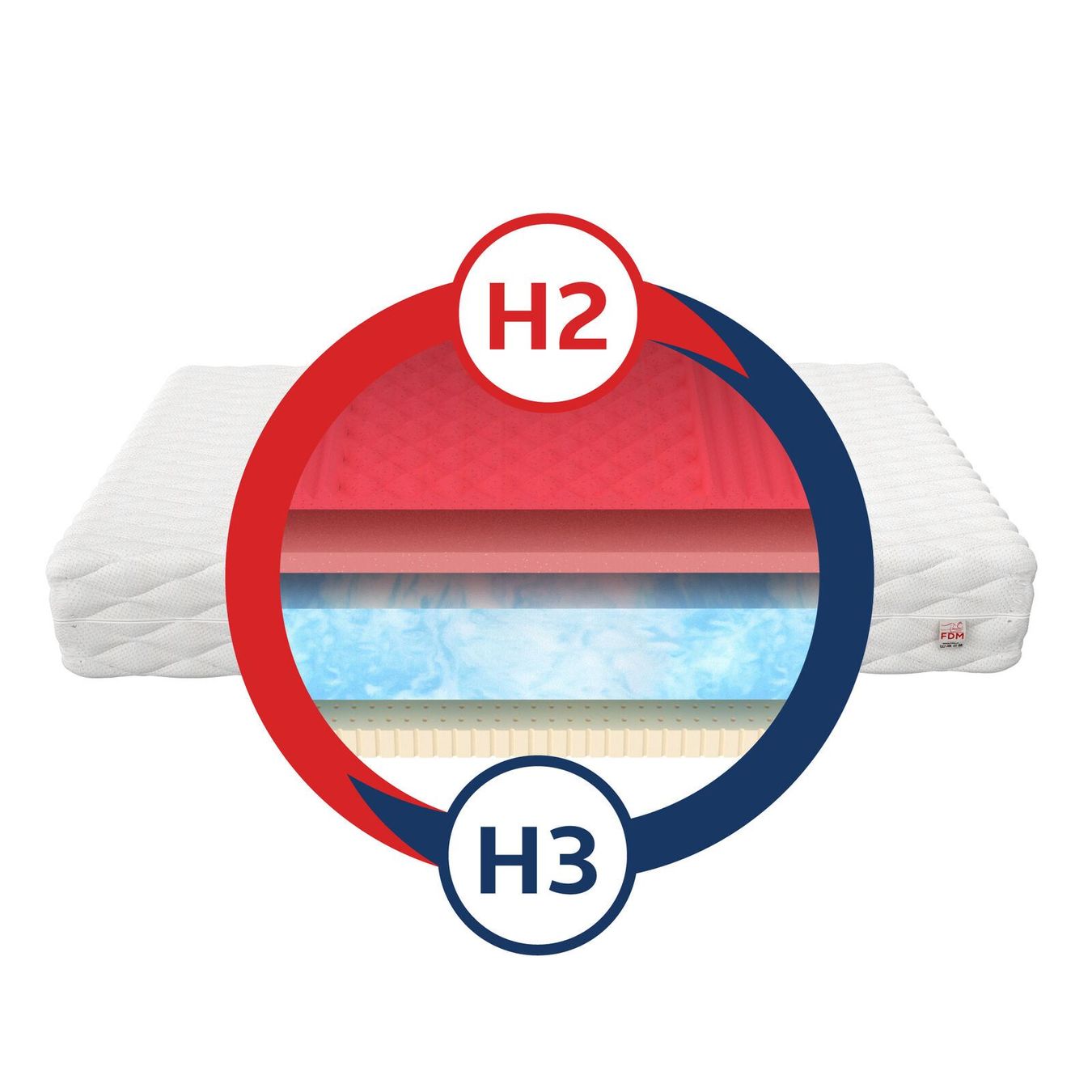Matratzen: Matratze 80x200 LAGOS - H2/H3 - 22cm – Neu und originalverpackt aus Wallenwil von toesstal-vertrieb 2