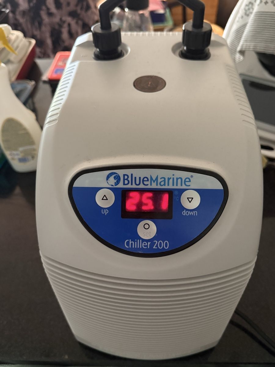 Tutte le macchine: Blue Marine Chiller 200 Wasserkühler – Usato da Pfäffikon ZH venduto da dan_xs7t