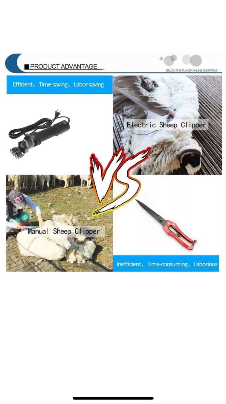 Alle Maschinen: +Profi Schafschere 690W Schermaschine – Neu und originalverpackt aus Amriswil von JaJa-Express 8