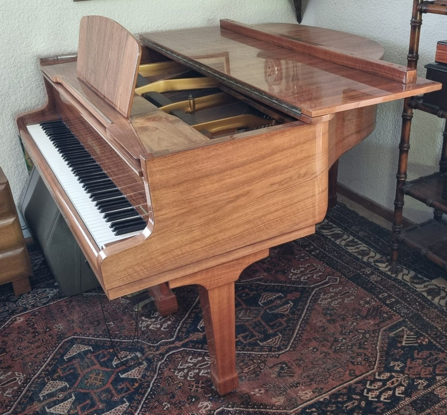 Blüthner Strumenti musicali: Piano 1/4 queue J. Blüthner avec système silencieux ADSILENT – Usato da Versoix venduto da Audrey294