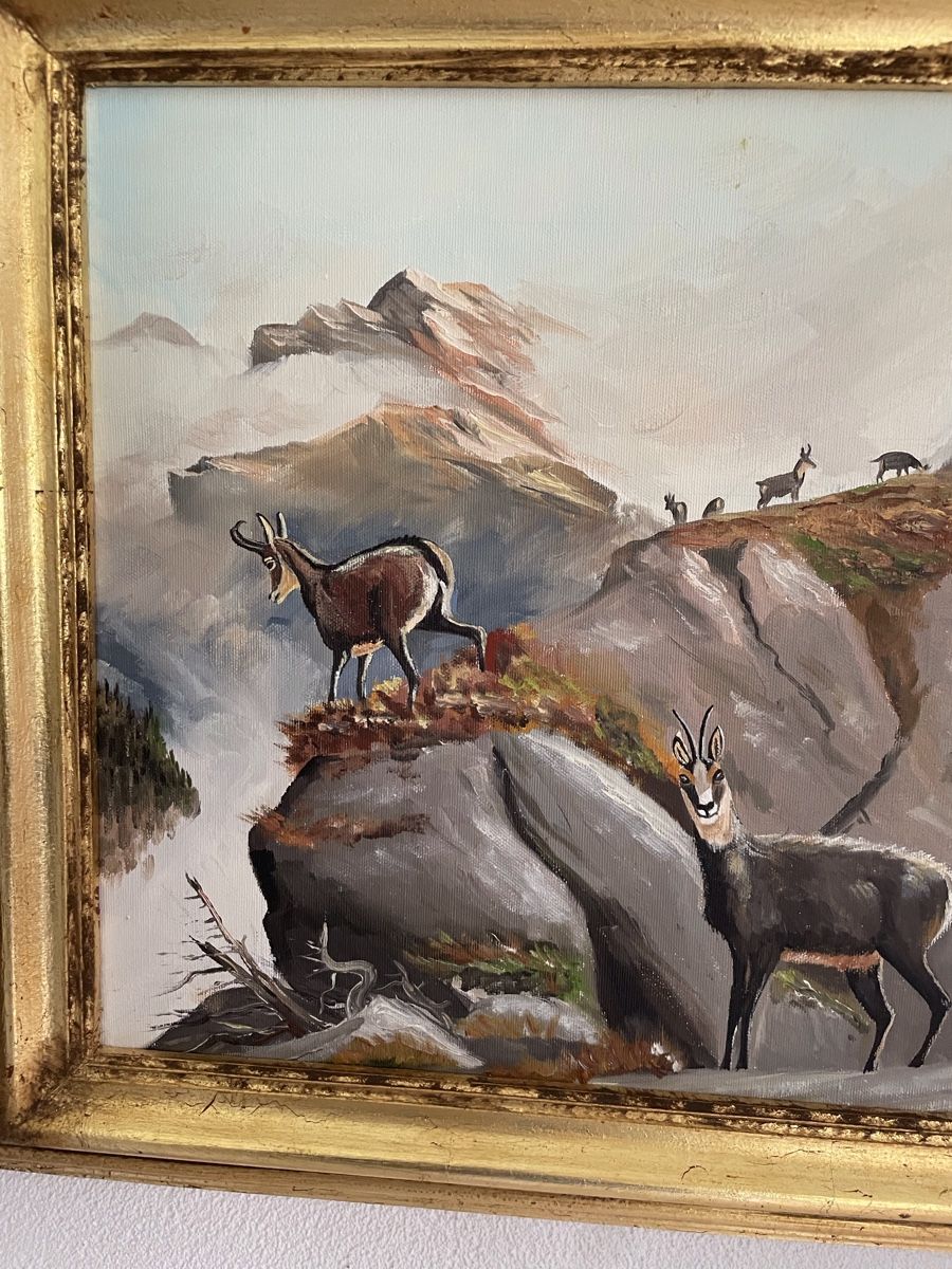 Dipinti: Gamsbild von H. Guler – Usato da Schmitten (Albula) venduto da an.am 1