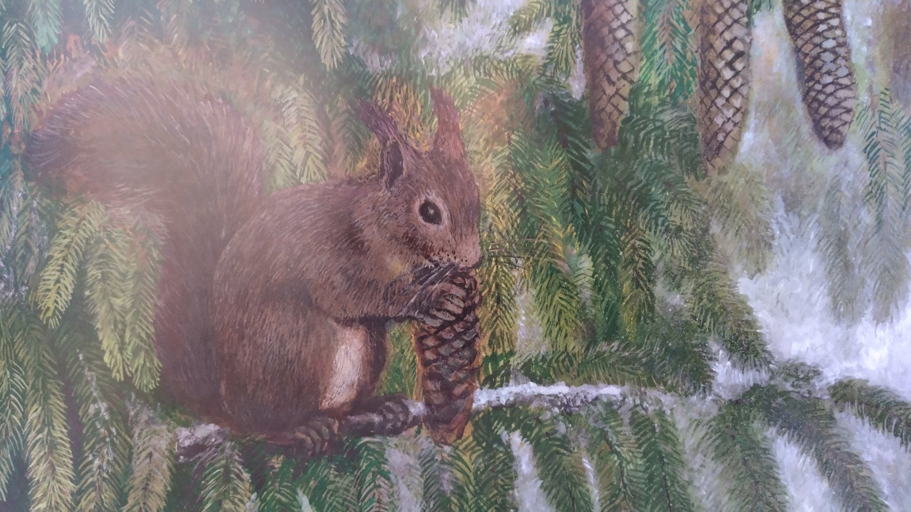 Bücher: Peter Bergmann - Eichhörnchen auf Besuch / Bilderbuch – Gebraucht aus Bellach von JingleJerry 7