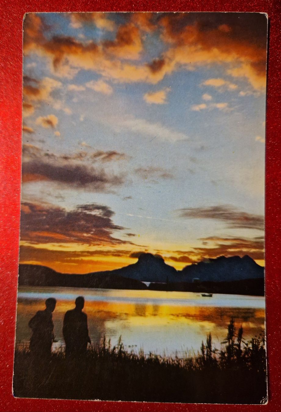 Cartoline postali: Mitternachtssonne Bode, Norwegen SAS Airlines rar – Nuovo (secondo la descrizione) da Melchnau venduto da Arthurius
