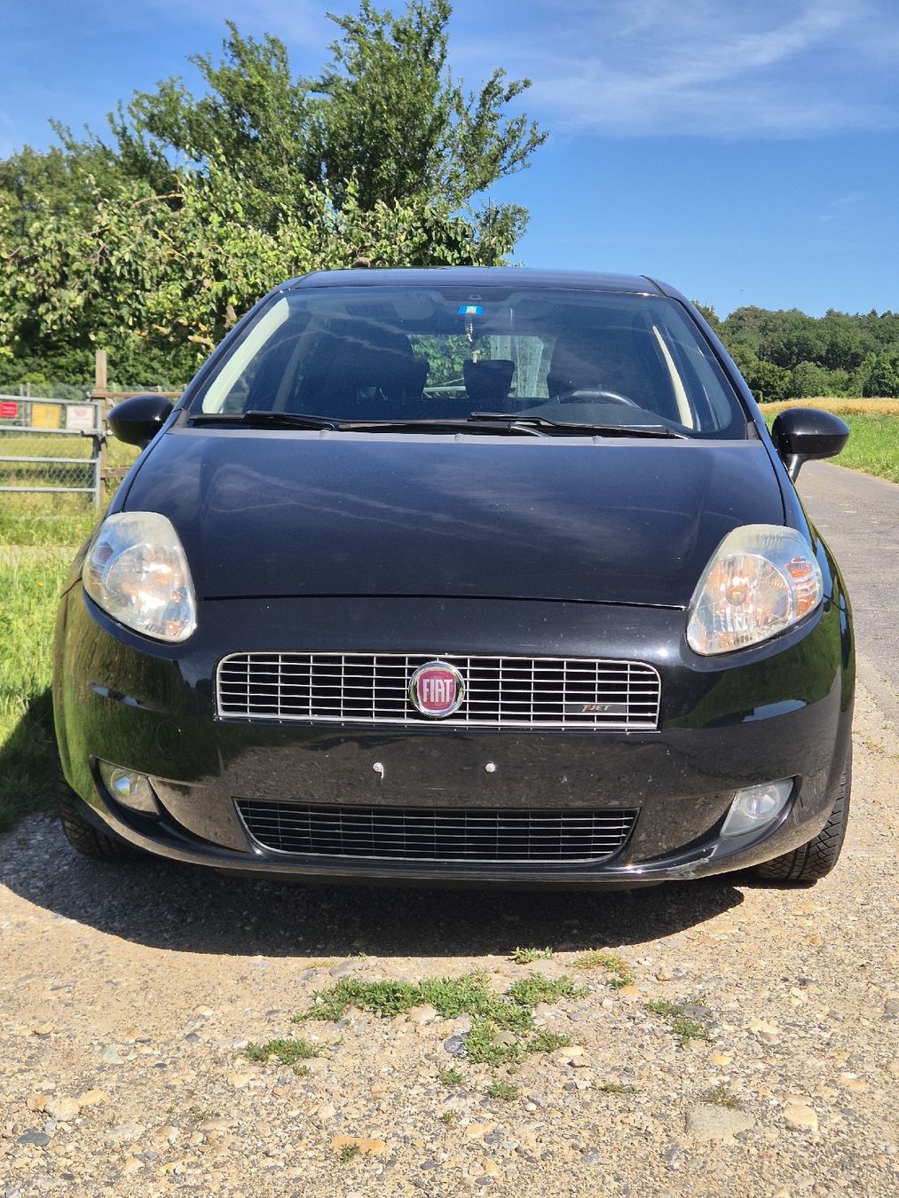Fiat Autos: Fiât Punto 1.4 TJet – Gebraucht aus Renens VD von oluapban 2