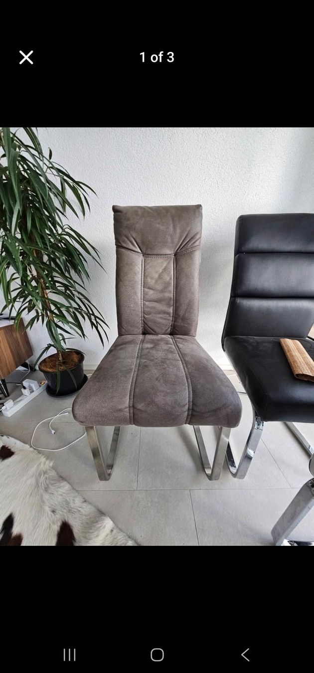 Sedie: Velours Stuhl  – Usato da Winterthur venduto da pam_r858