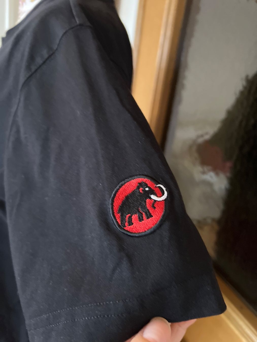 Mammut T-shirt: Mammut T-Shirt Gr L – Usato da Chur venduto da van_hnc6 4