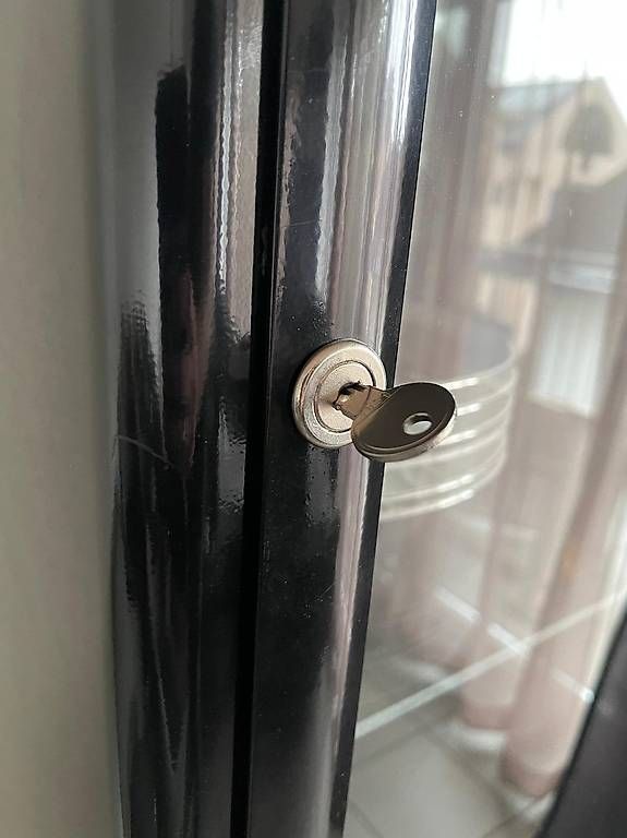 Schränke: Metallschrank / Metallvitrine – Gebraucht aus Triesen von Chevalley 4