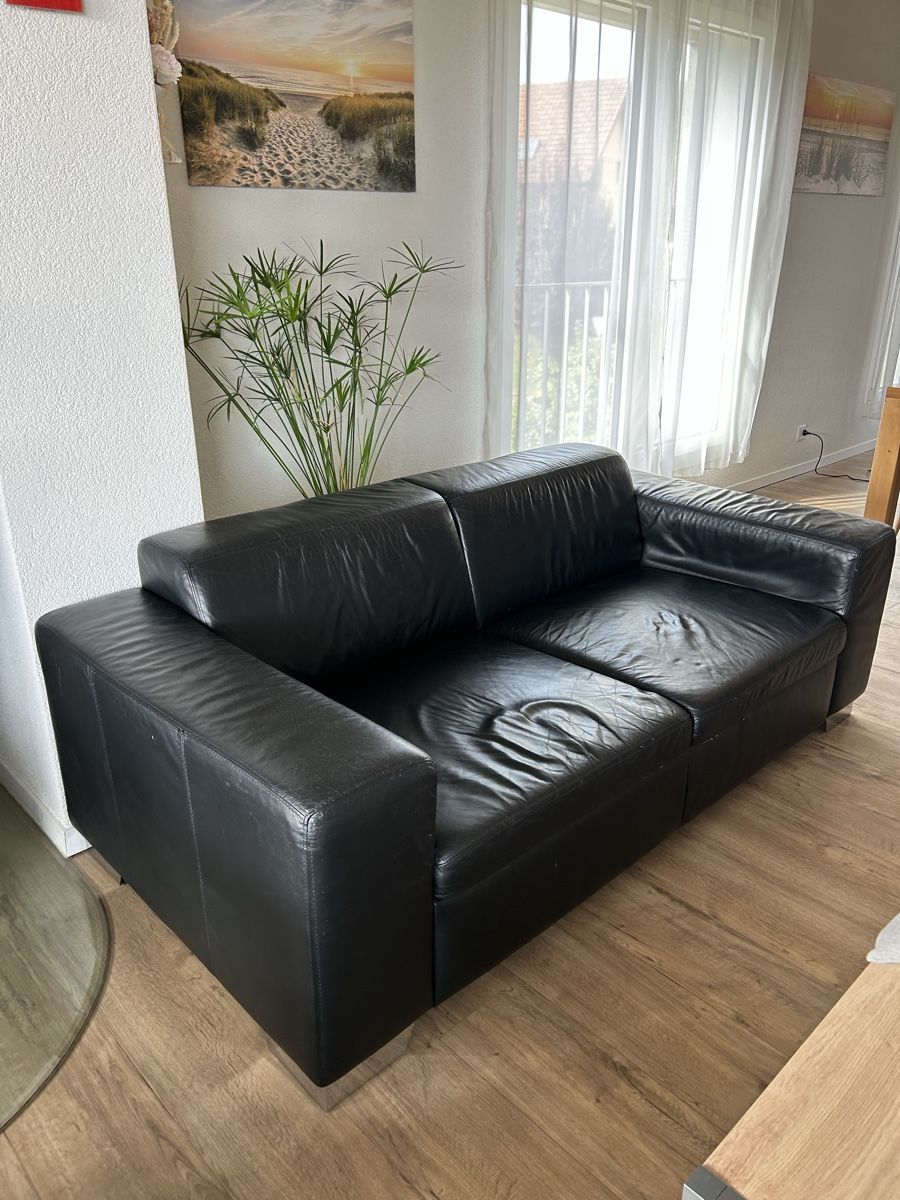 Pfister Divani: Sofa Subway – Usato da Buttwil venduto da Shommeli 2