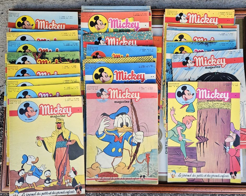 Appareil Photo Diana - Offerte Par Le Journal De Mickey - Années 50 - Occasion
