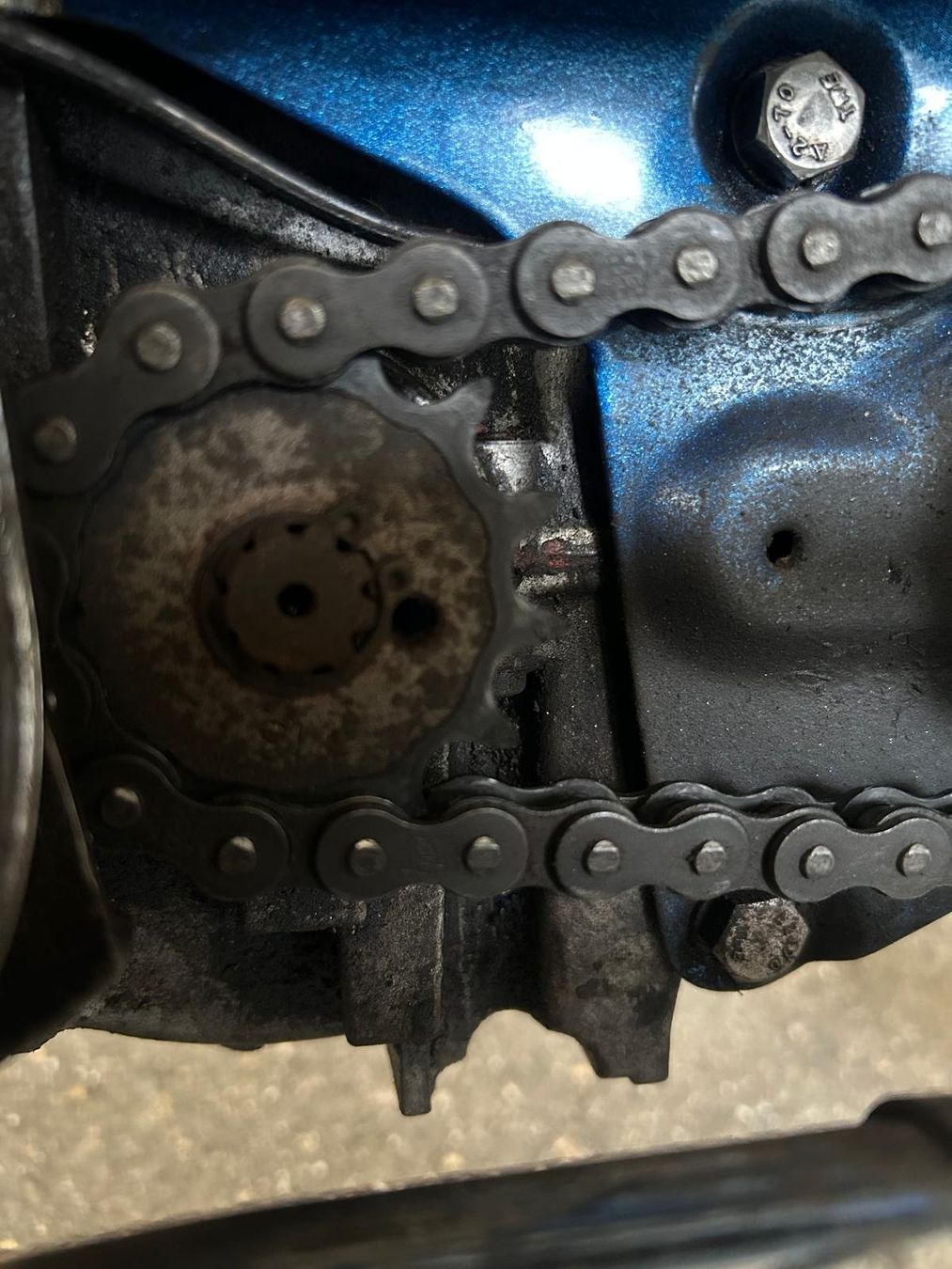 Puch Ciclomotori: Puch Supermaxi LG2 mit E50 Motor – Usato da Willisau venduto da heiwil 6