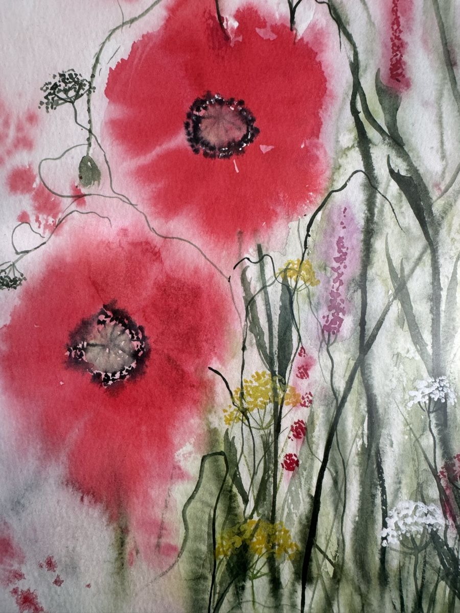 Dipinti: Aquarell ,,Mohnblumen,,Unikat – Usato da Lanzenhäusern venduto da Galaa 1