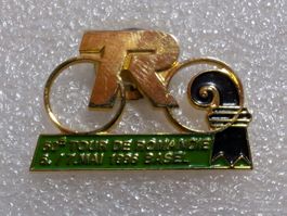 Ansteckpin 263: