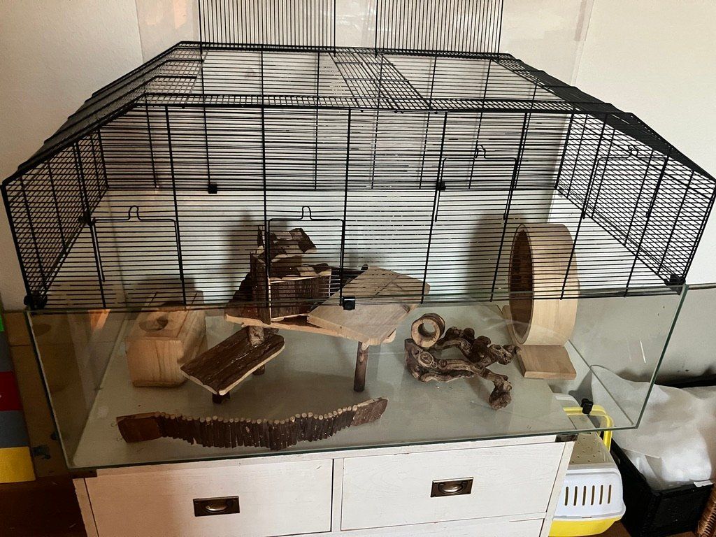 Terrarium: Nagergehege – Gebraucht aus Zürich von alpenho